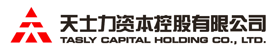 ng国际导航资本控股有限公司